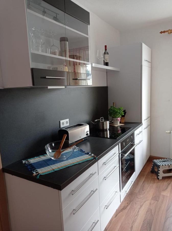 Ferienwohnung Greifenbach, Gartennutzung, Haustiere Willkommen Geyer Eksteriør bilde
