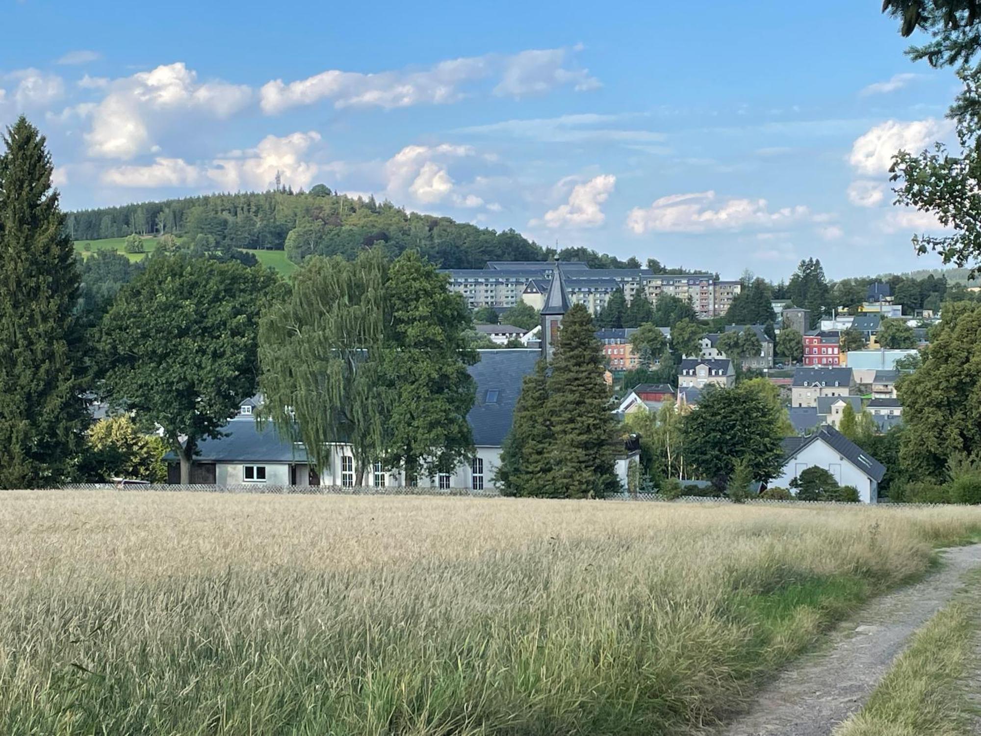 Ferienwohnung Greifenbach, Gartennutzung, Haustiere Willkommen Geyer Eksteriør bilde